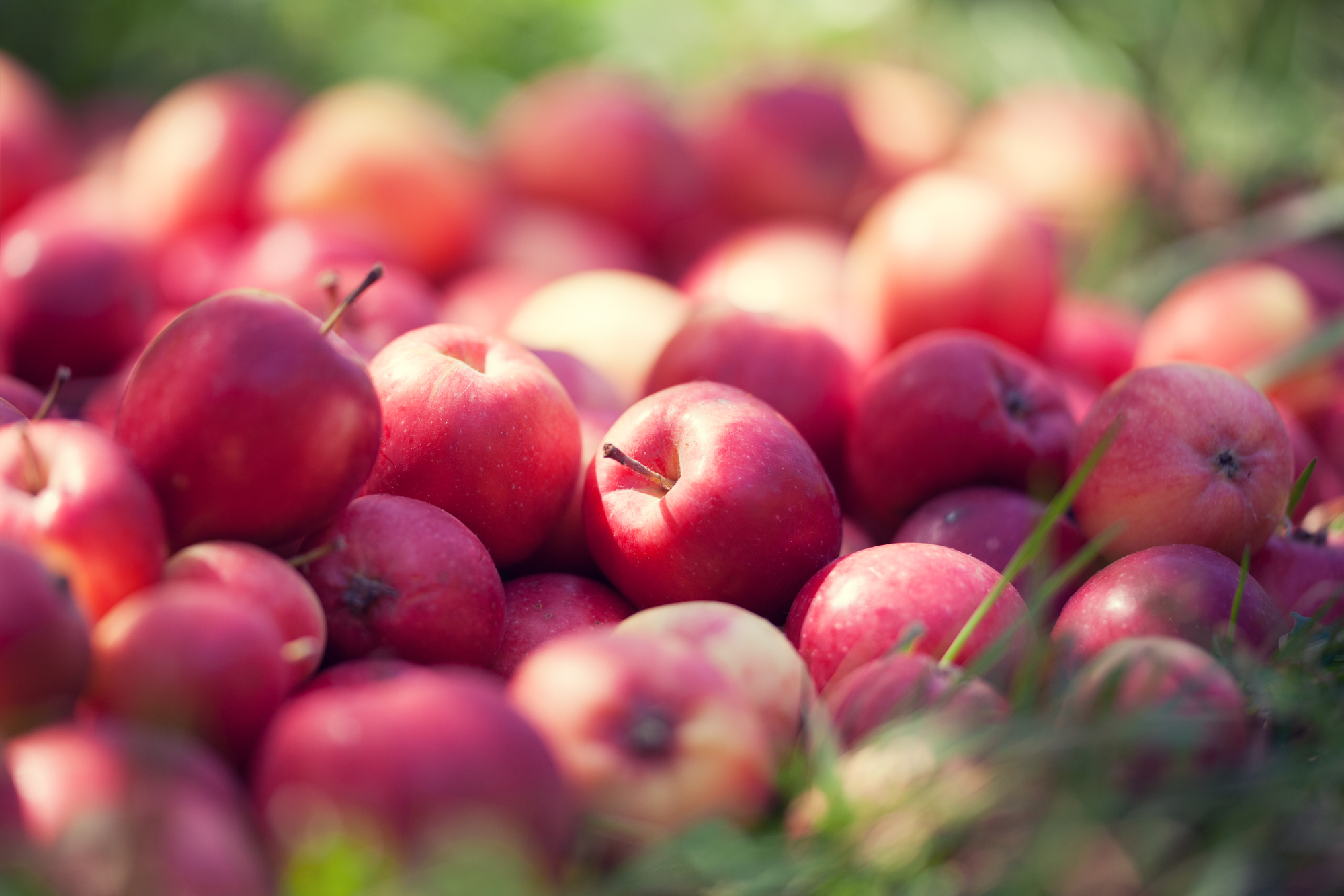 知ってる！？リンゴ酵素ジュースのすごい健康効果！
